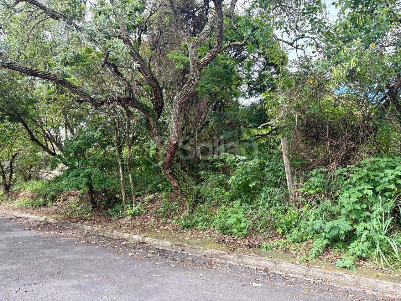 terreno à venda no Bosque: 
