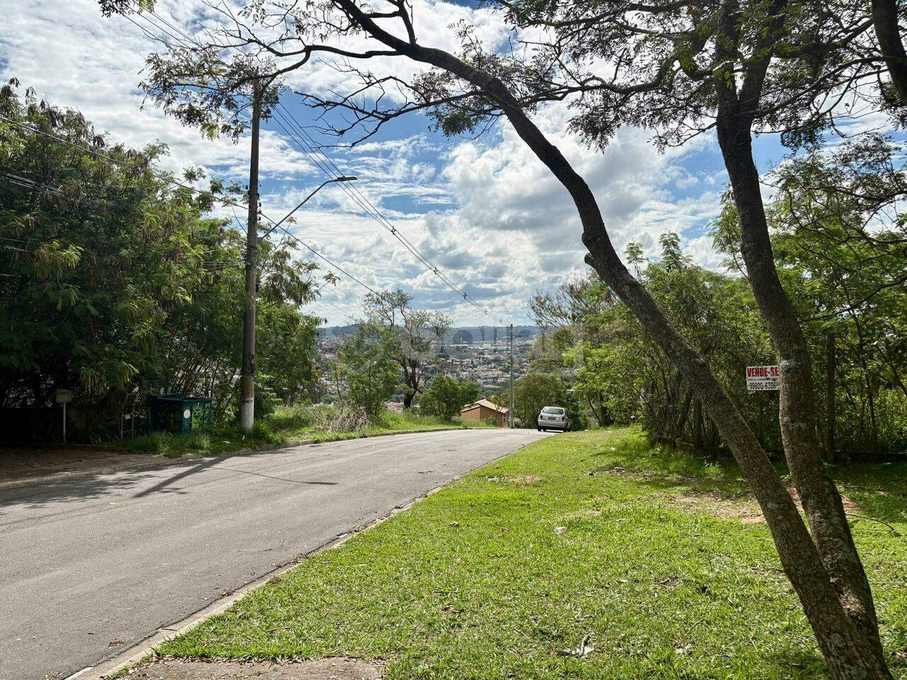 terreno à venda no Bosque: 