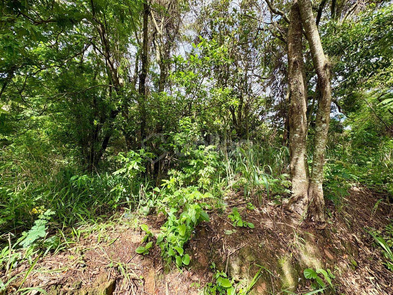 terreno à venda no Bosque: