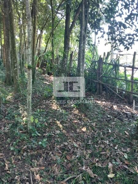 Terreno Dos Finco São Bernardo do Campo 