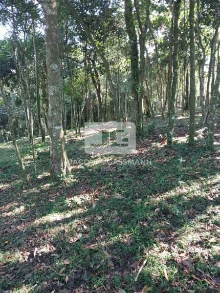 Terreno Dos Finco São Bernardo do Campo 