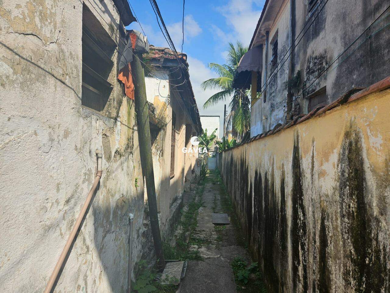 Terreno à venda no Macuco: 