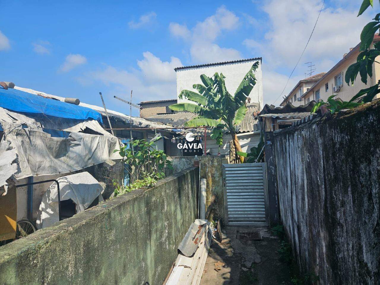 Terreno à venda no Macuco: 