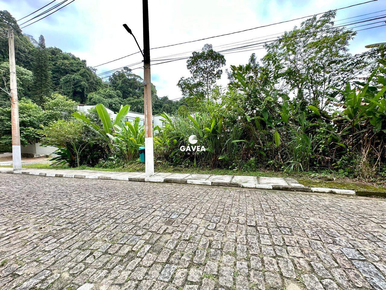 Terreno à venda no Morro Santa Terezinha: 