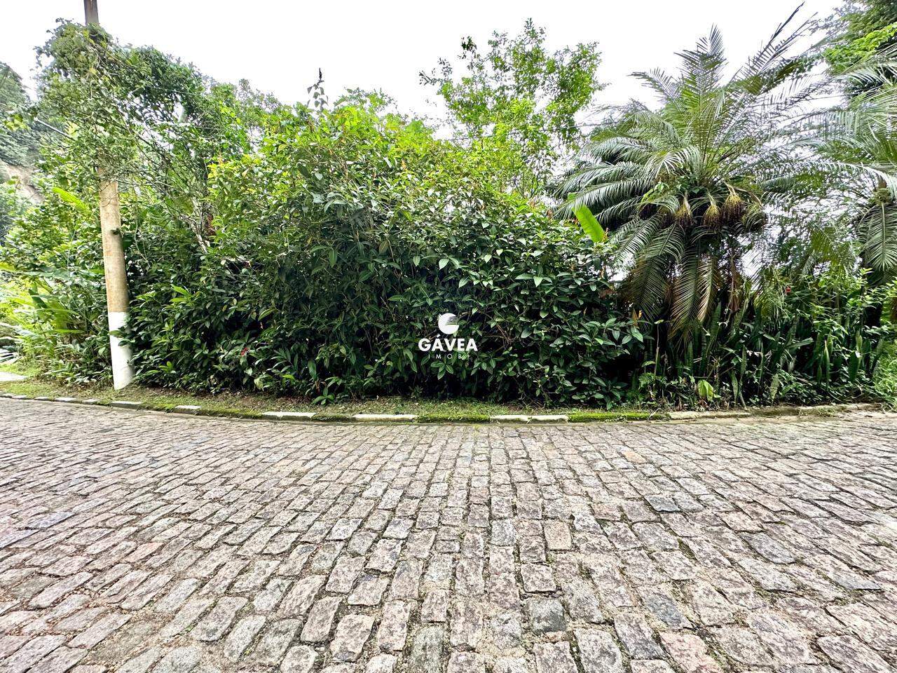 Terreno à venda no Morro Santa Terezinha: 