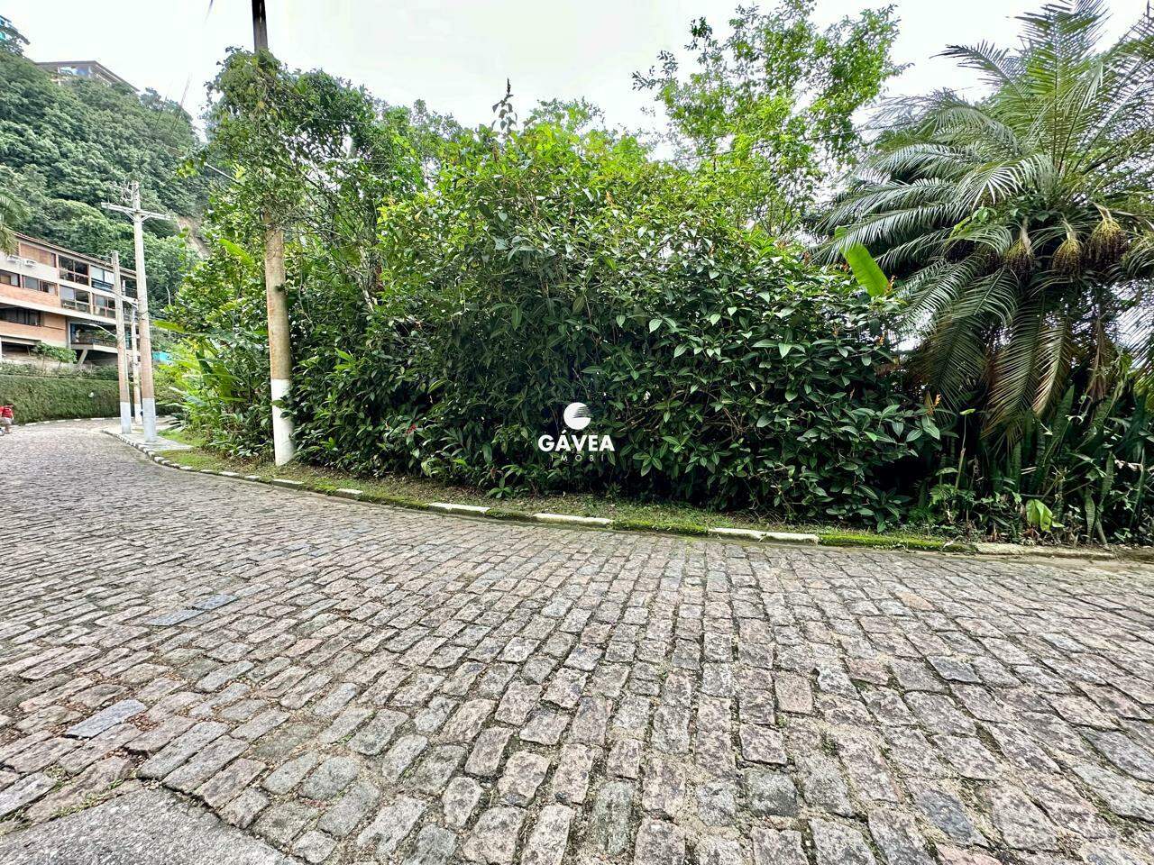 Terreno à venda no Morro Santa Terezinha: 