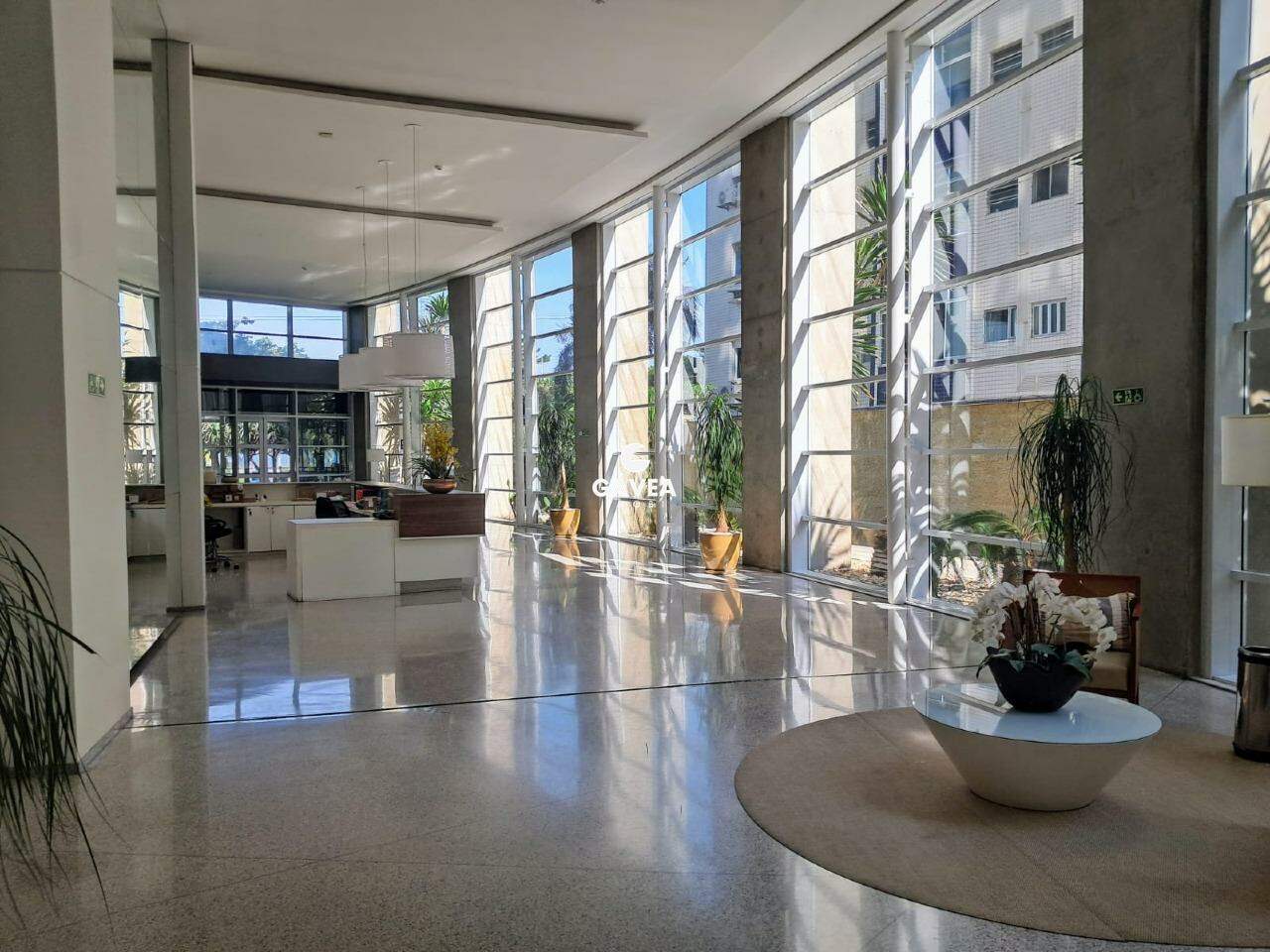 Apartamento para aluguel no Gonzaga: 