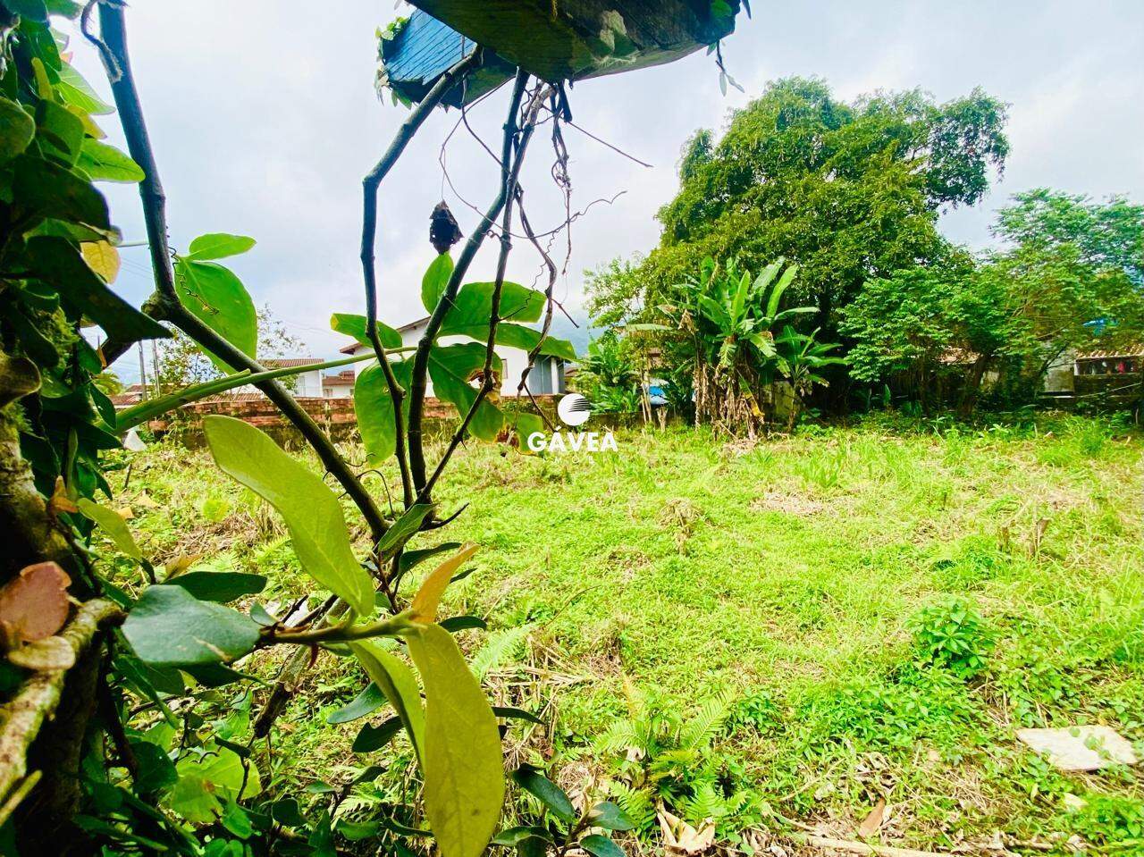 Terreno à venda no Boiçucanga: 