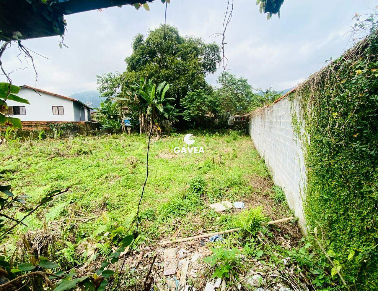 Terreno à venda no Boiçucanga: 