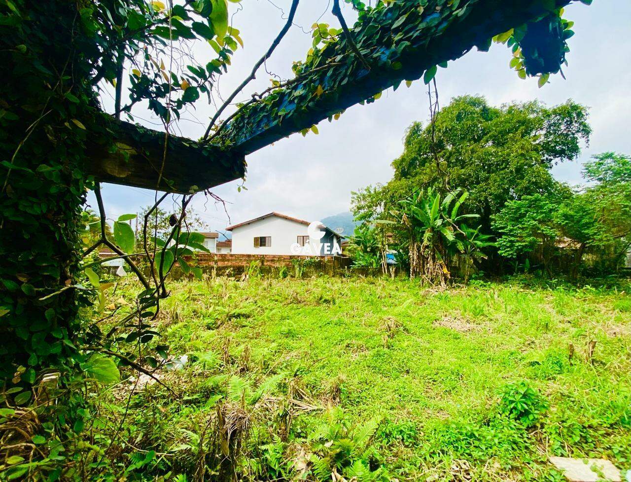 Terreno à venda no Boiçucanga: 