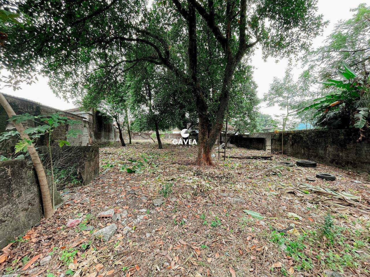 Terreno à venda no Vila Couto: 