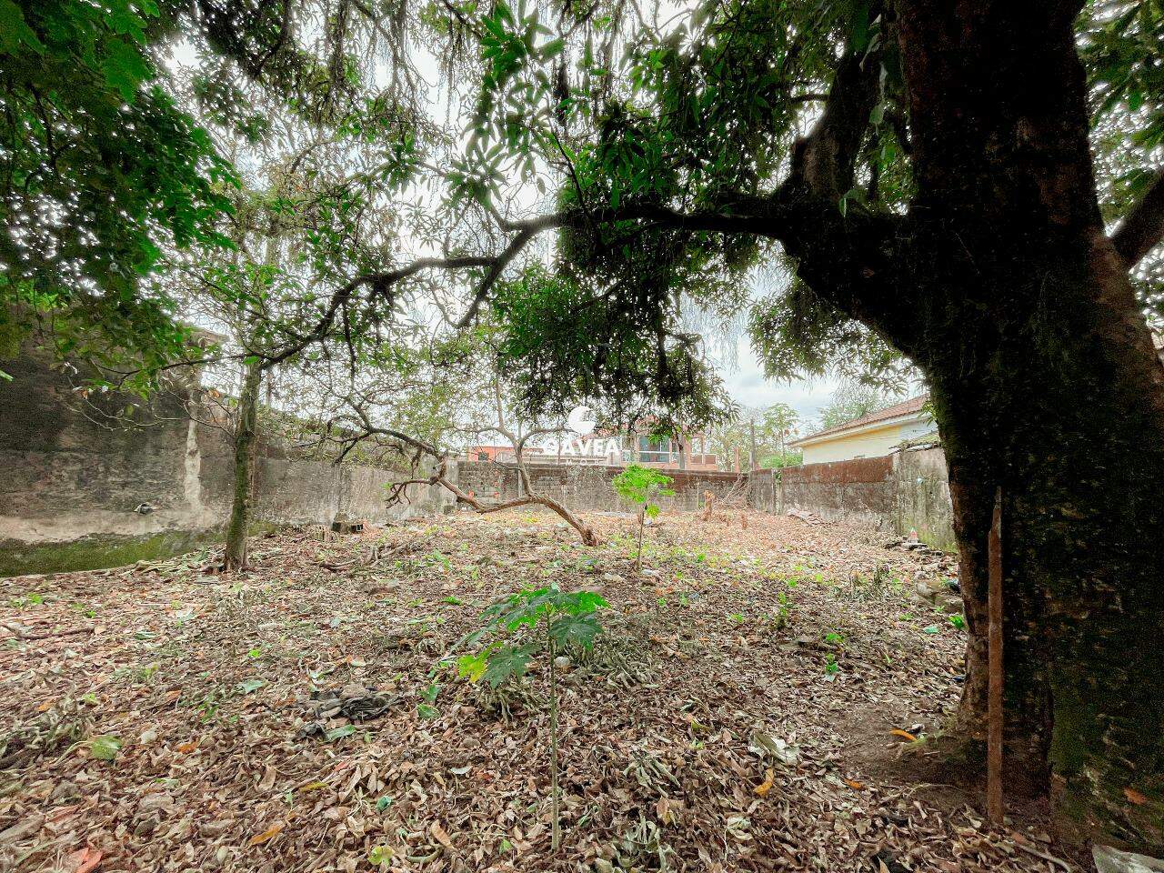 Terreno à venda no Vila Couto: 