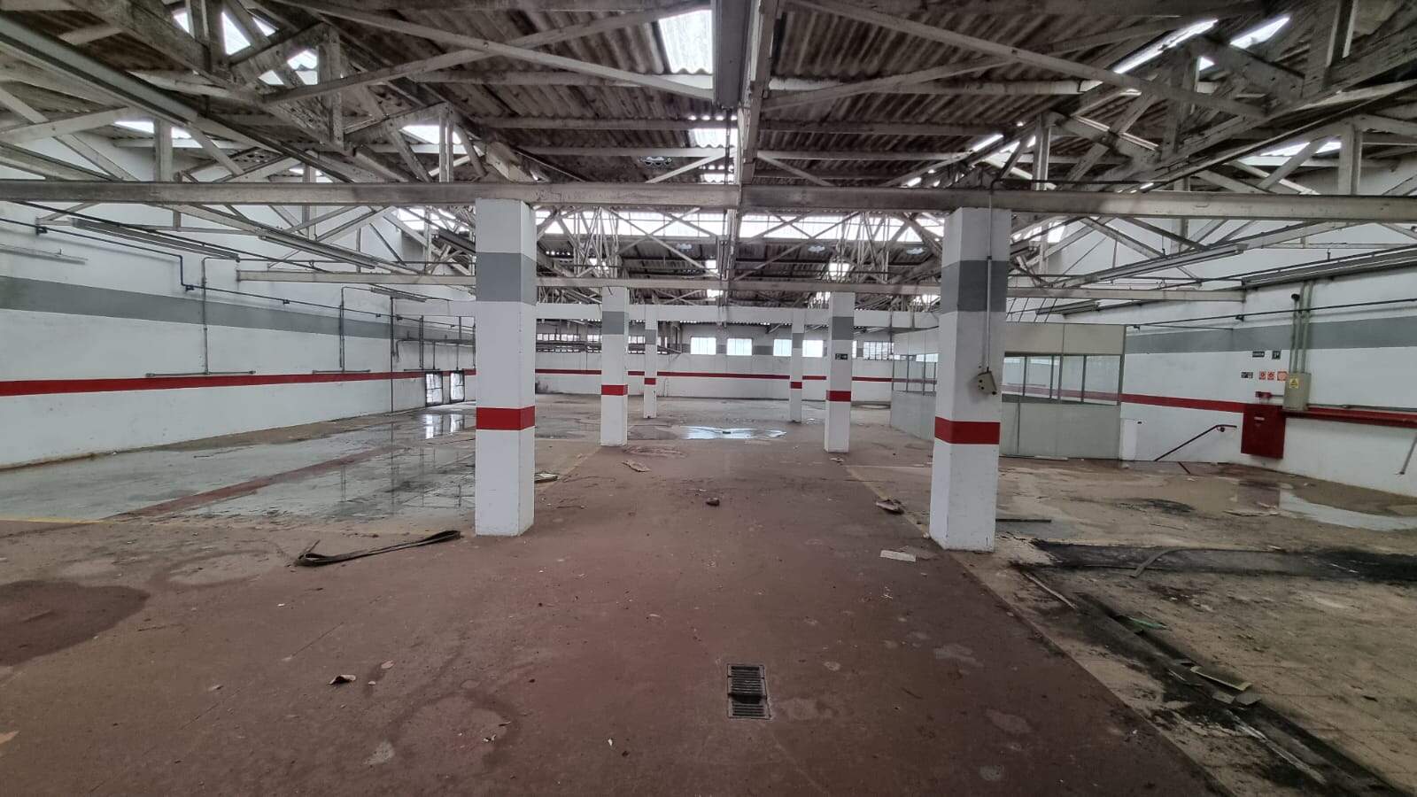 Galpão à venda no Macuco: 