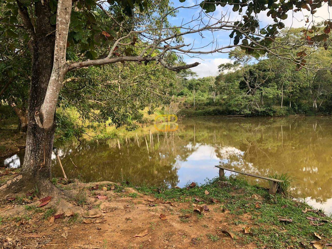 Sítio à venda no Colonia Padre Damiao: 