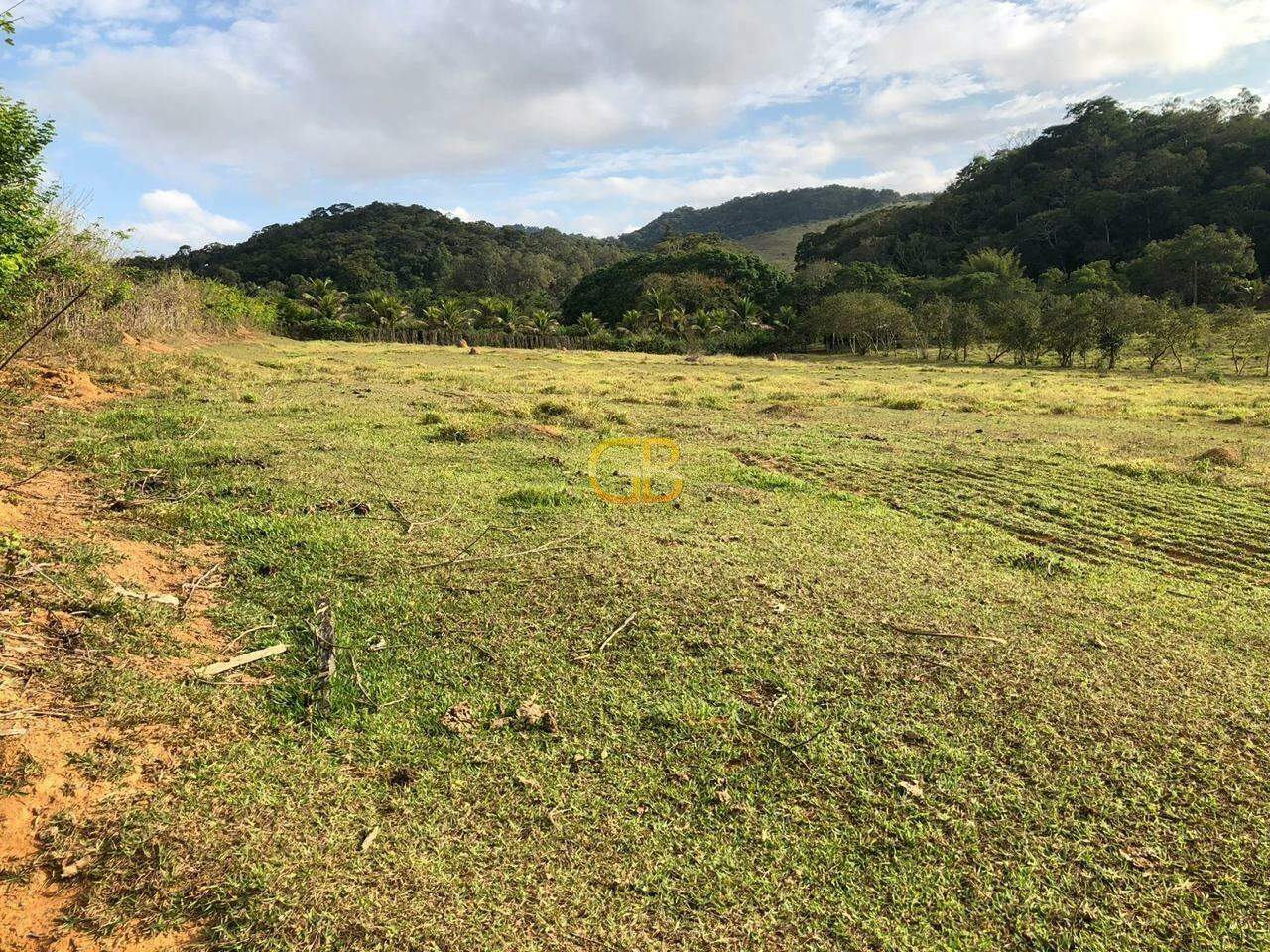 Sítio à venda no Colonia Padre Damiao: 