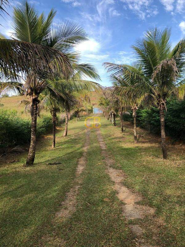 Sítio à venda no Colonia Padre Damiao: 