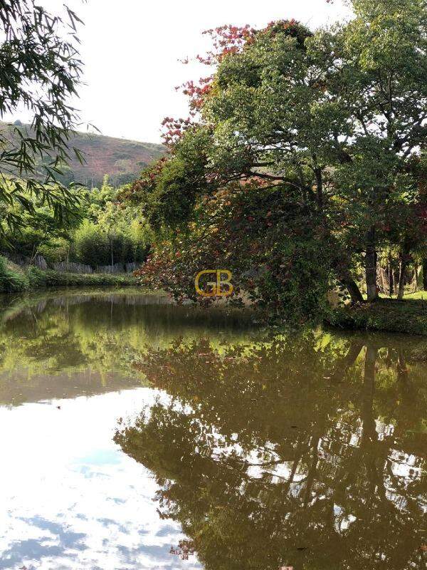 Sítio à venda no Colonia Padre Damiao: 