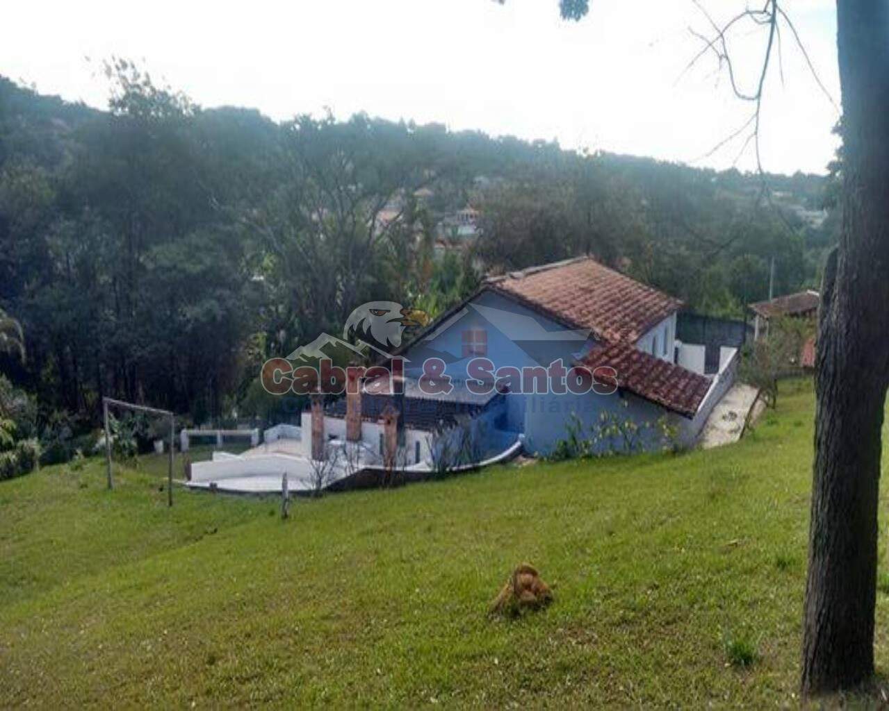 Sítio à venda no PINHEIRINHO: Foto 06