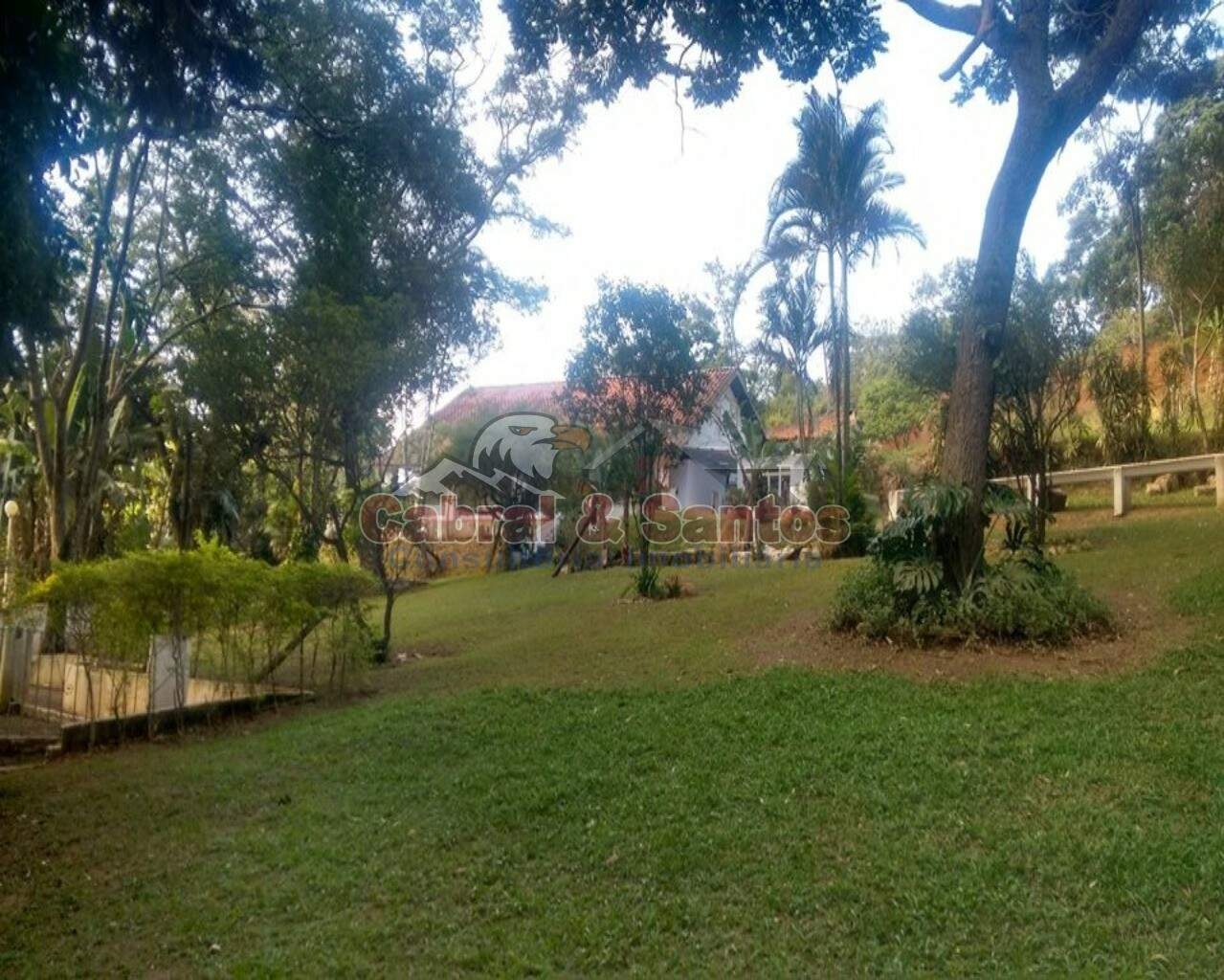 Sítio à venda no PINHEIRINHO: Foto 12