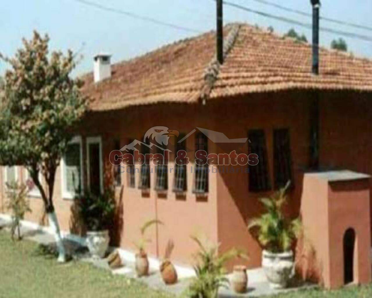 Chácara à venda no VILA MARTINS: Foto 03