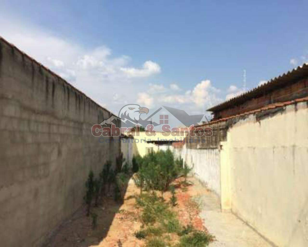 TERRENO à venda no JARDIM ALBERTO GOMES: Foto 01