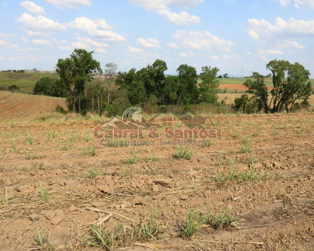 AREA à venda no PINHAL: Foto 02