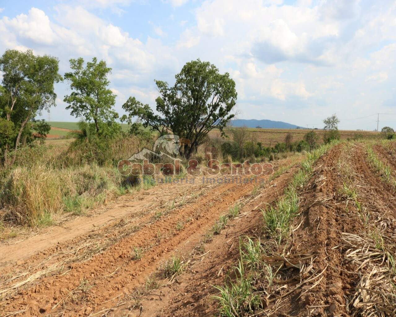 AREA à venda no PINHAL: Foto 03