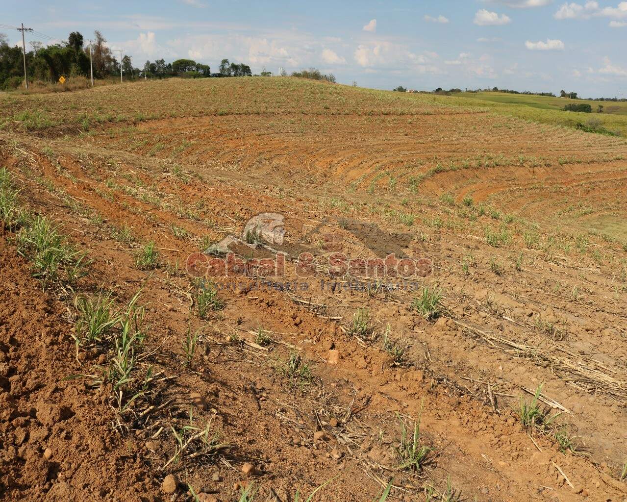 AREA à venda no PINHAL: Foto 10