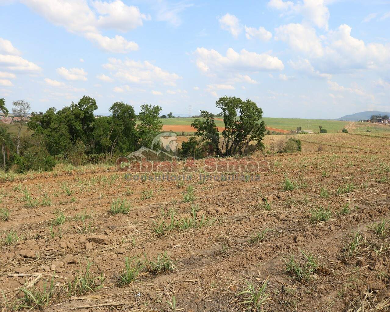 AREA à venda no PINHAL: Foto 13