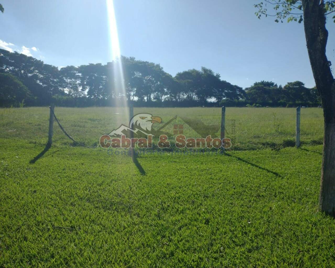 TERRENO à venda no SANTA FILOMENA: Foto 01