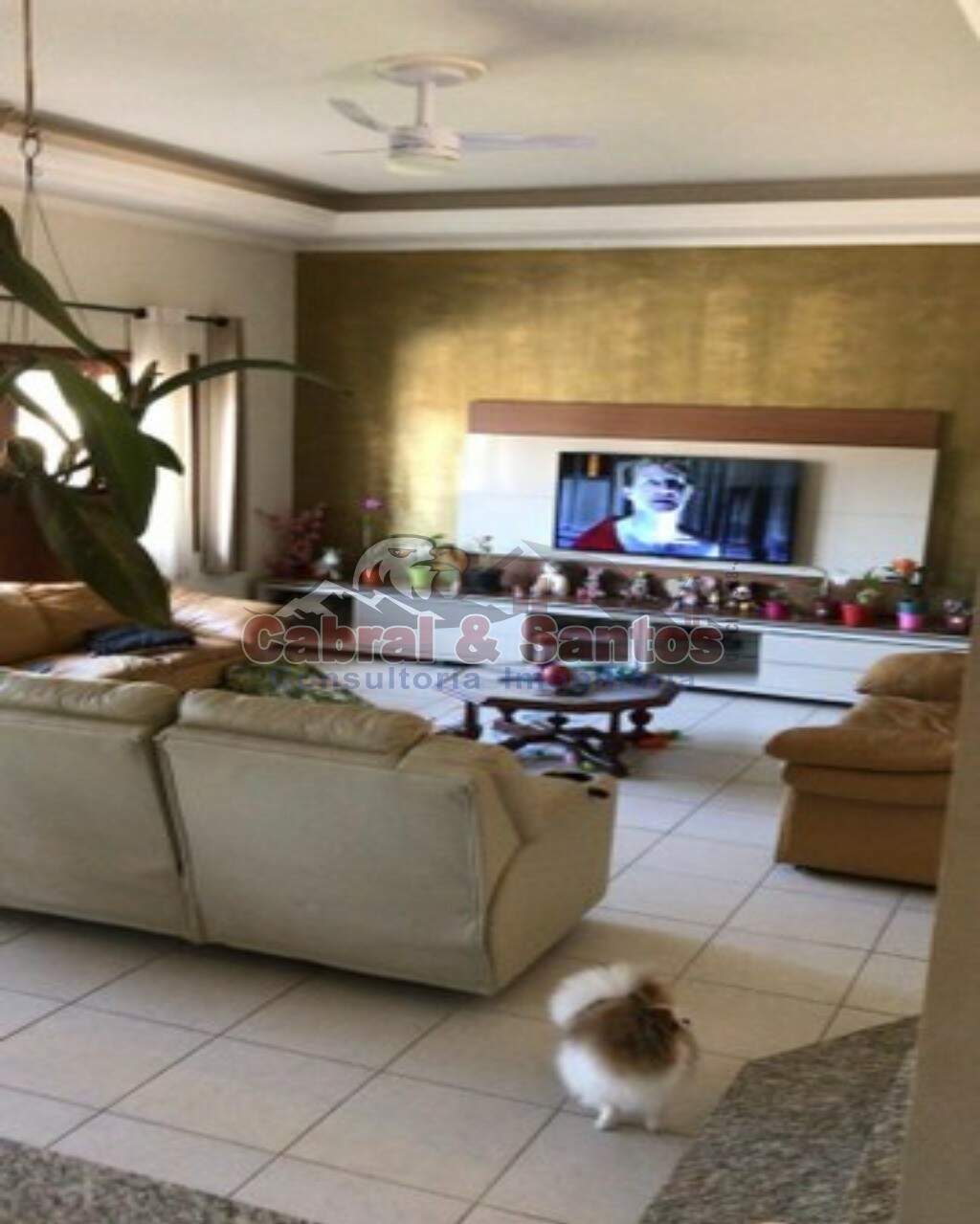 Casa à venda no CAMPOS DE SANTO ANTÔNIO: Foto 02