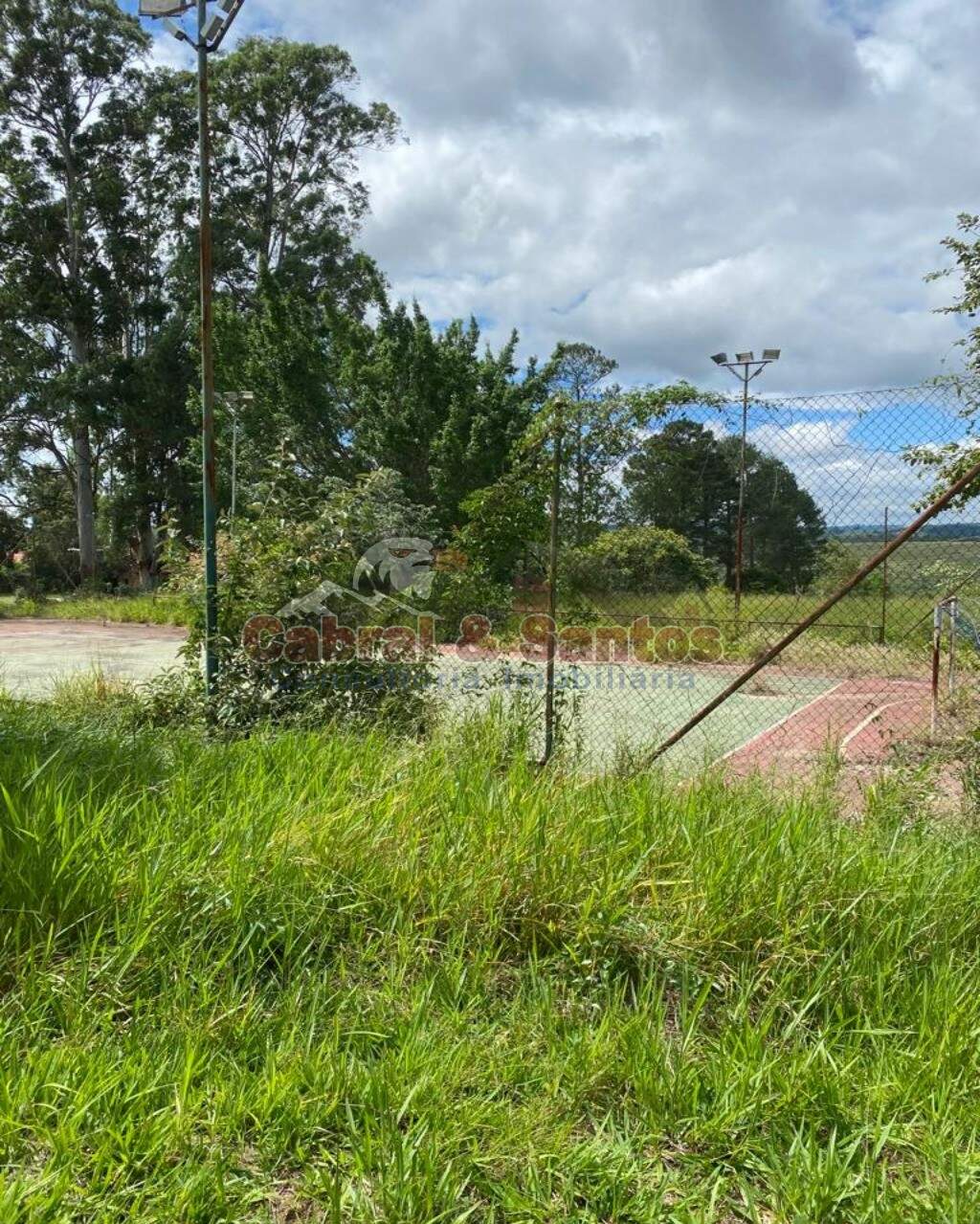 AREA à venda no PINHEIRINHO: Foto 03