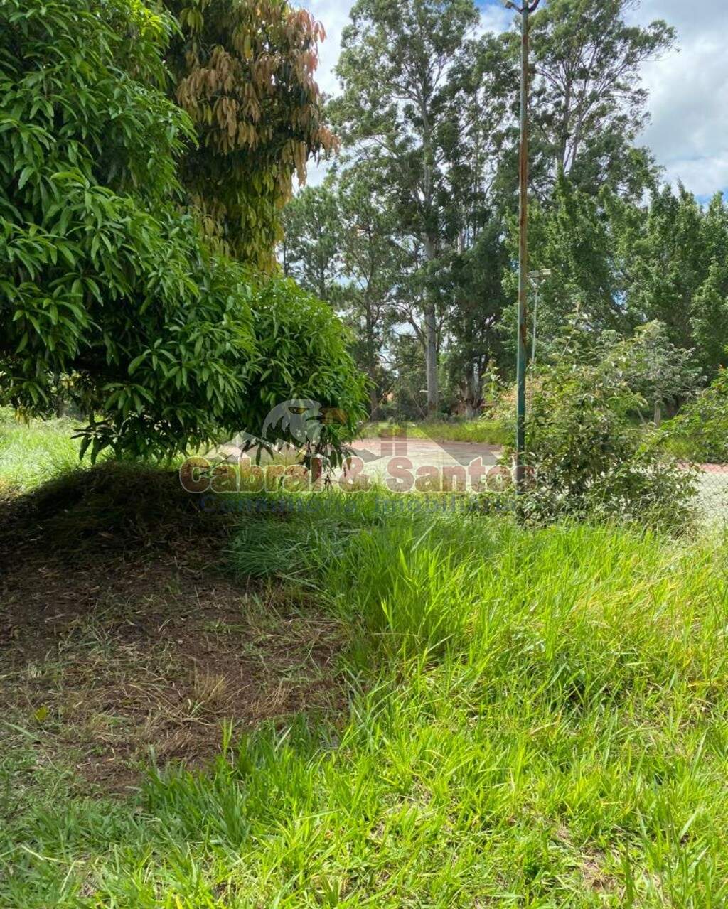 AREA à venda no PINHEIRINHO: Foto 04