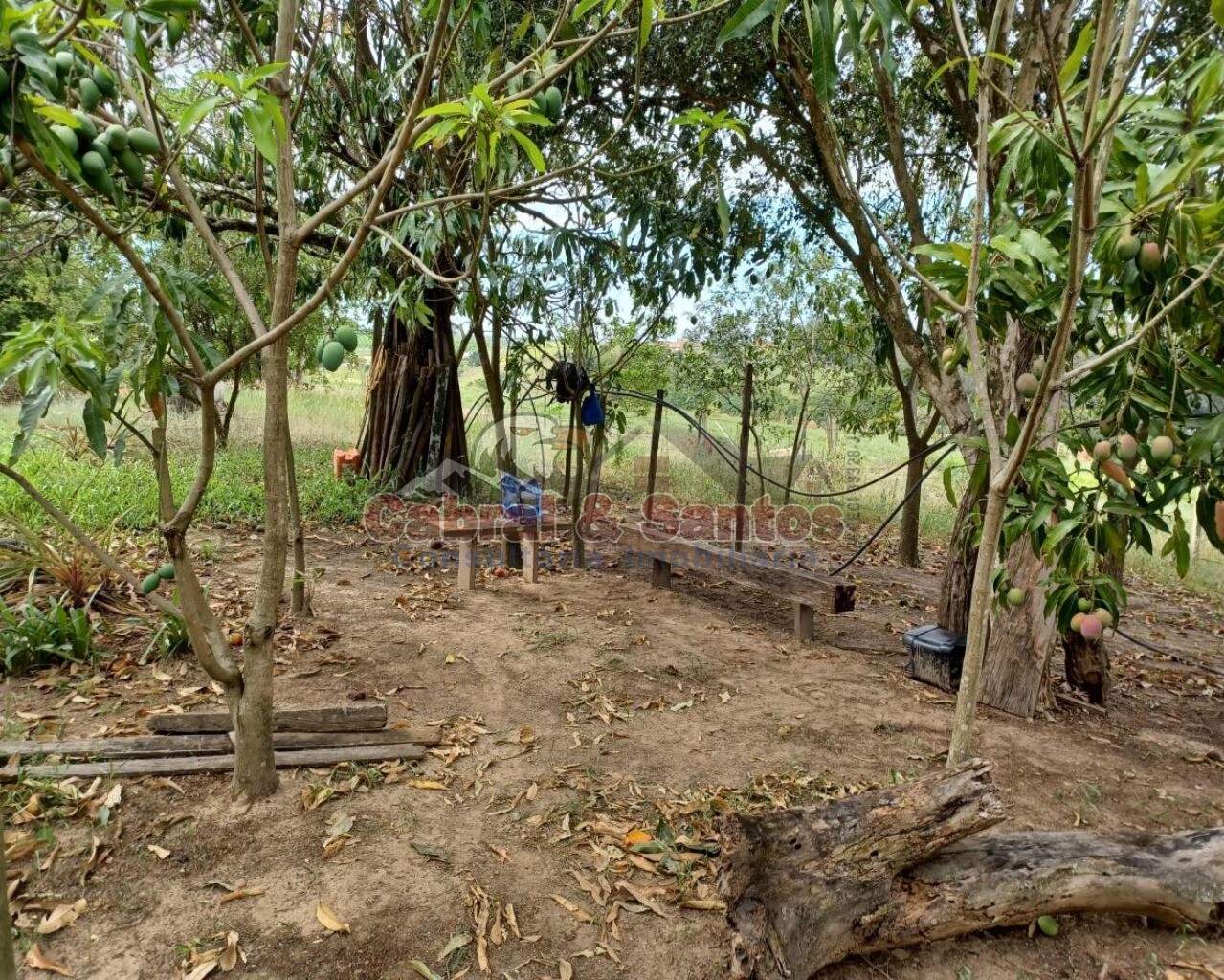 AREA à venda no Barreiro Rico: Foto 06