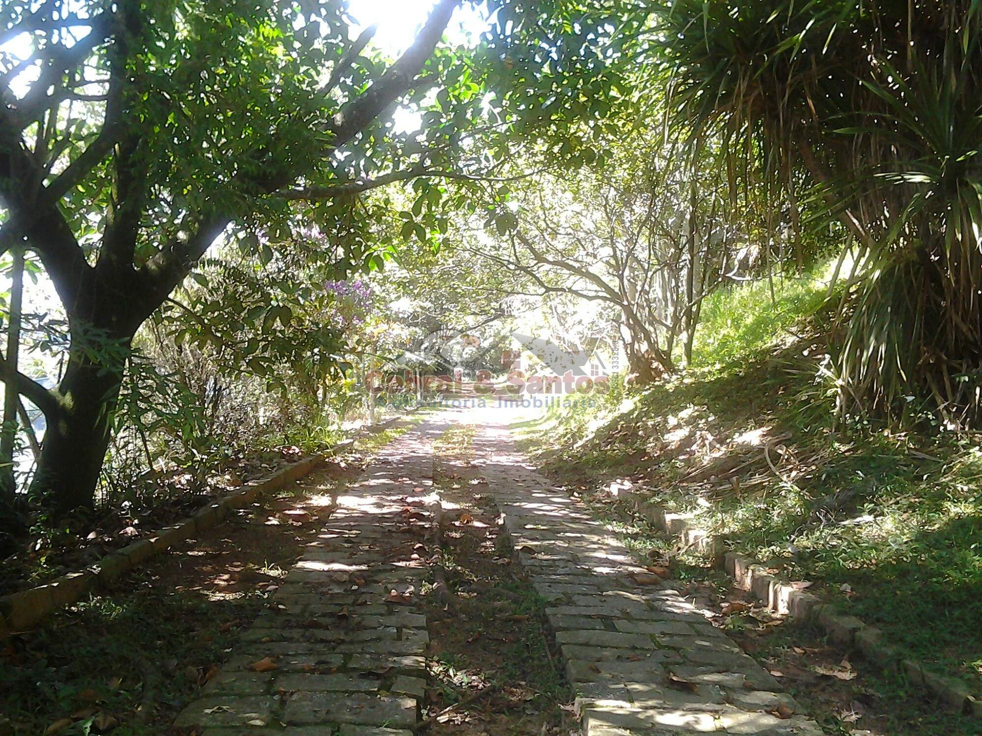 Chácara à venda no LOPES: Foto 02