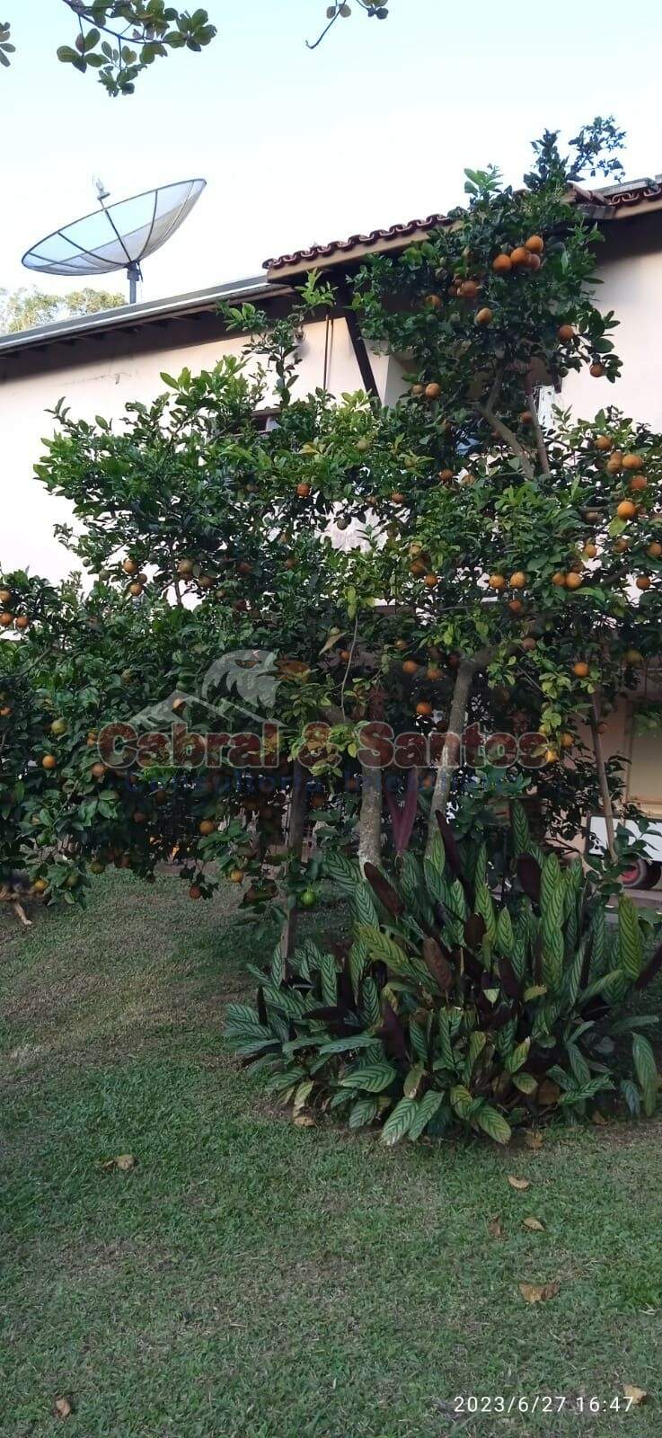 Chácara à venda no CONDOMÍNIO CHÁCARA MONTE VERDE: Foto 06