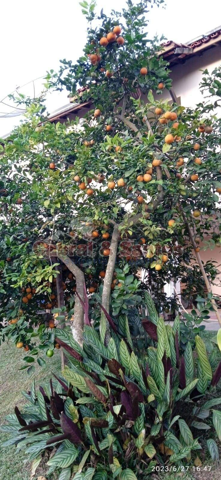 Chácara à venda no CONDOMÍNIO CHÁCARA MONTE VERDE: Foto 07