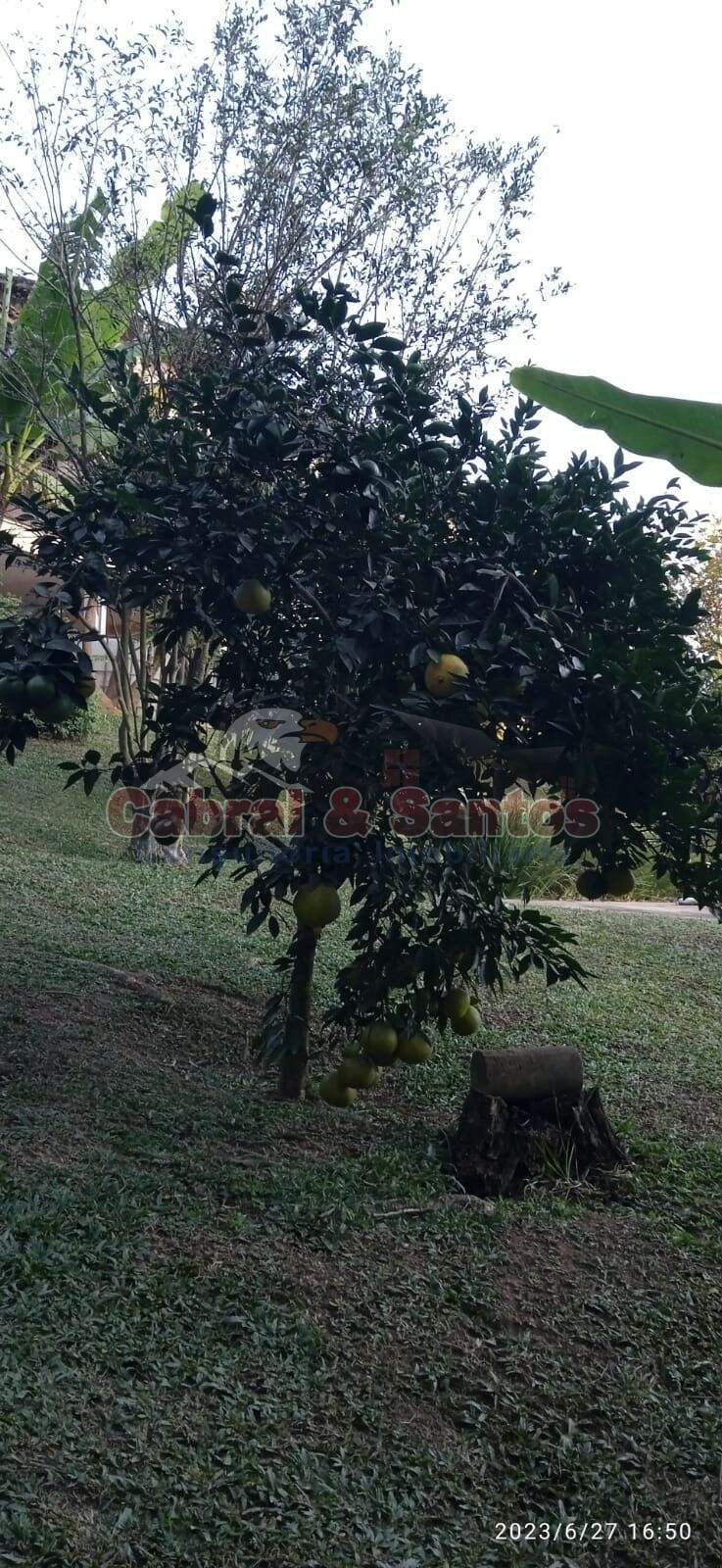 Chácara à venda no CONDOMÍNIO CHÁCARA MONTE VERDE: Foto 05