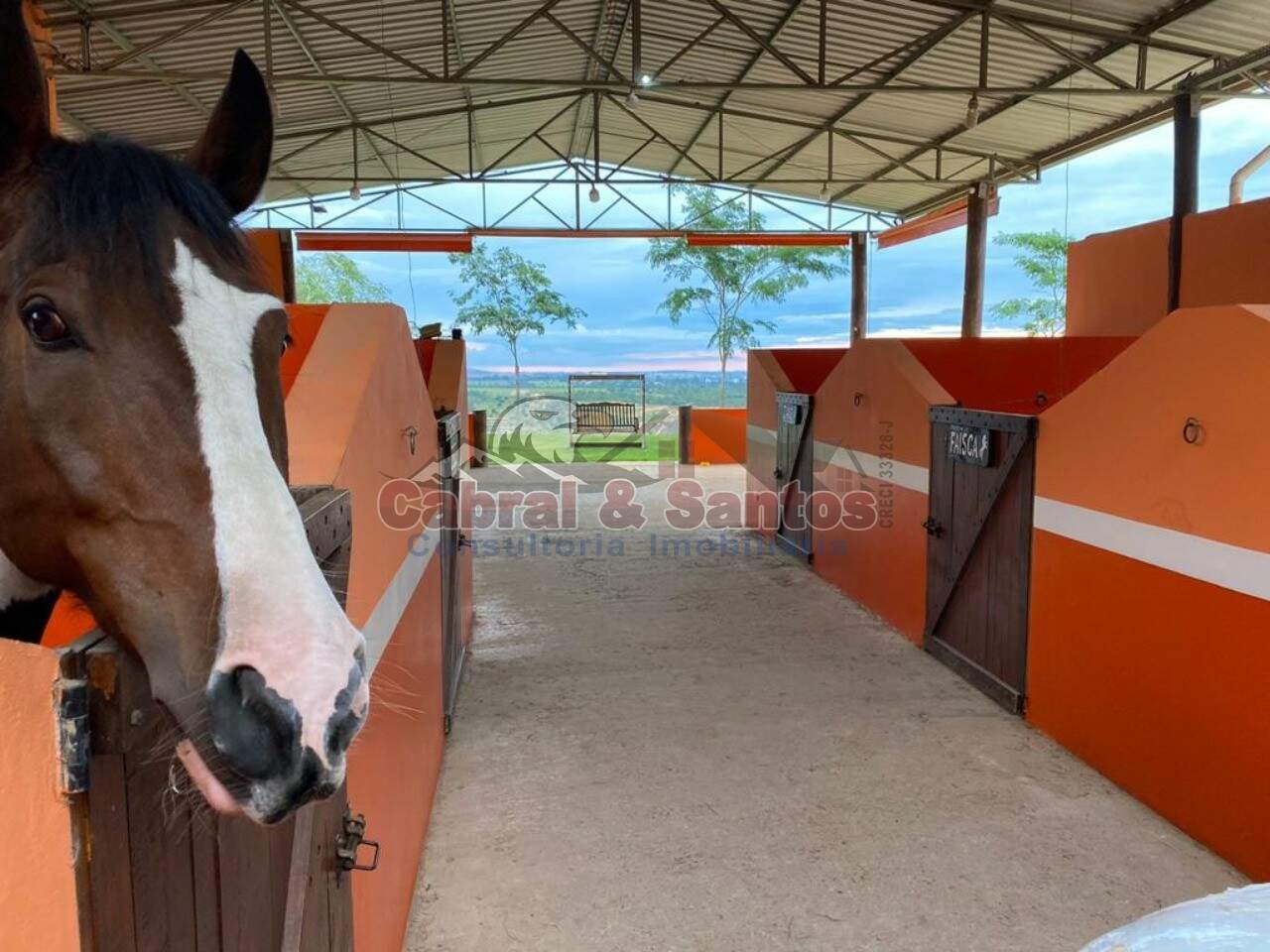 Sítio à venda no RESIDENCIAL PARQUE CAMPOS DE SANTO ANTÔNIO II: Foto 17