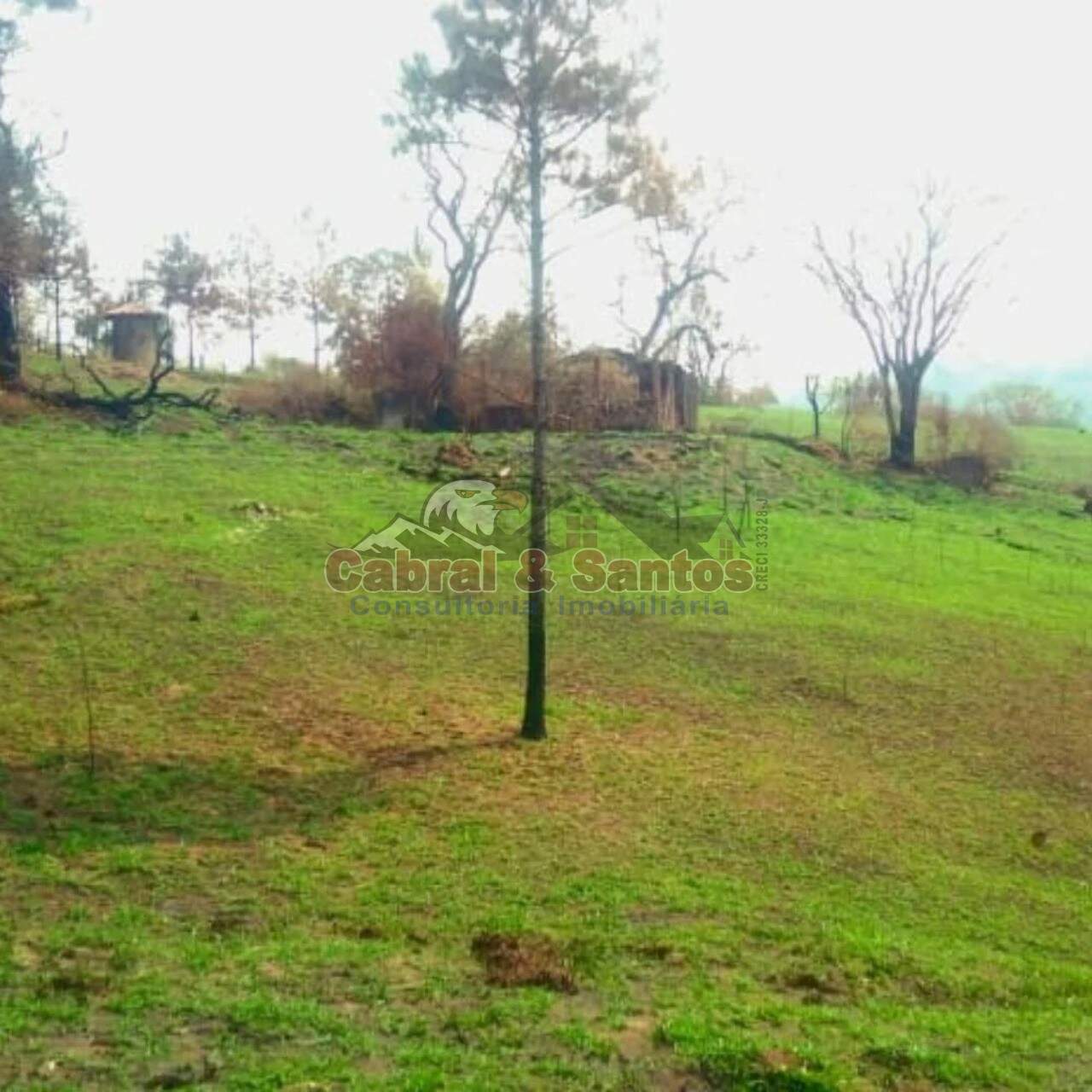 AREA à venda no POTRIBU DE CIMA: Foto 05