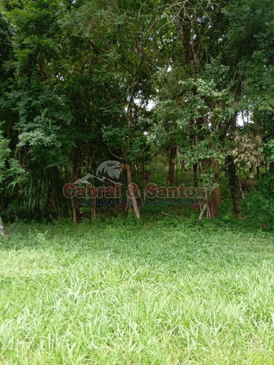 TERRENO à venda no CITY CASTELLO: Foto 20