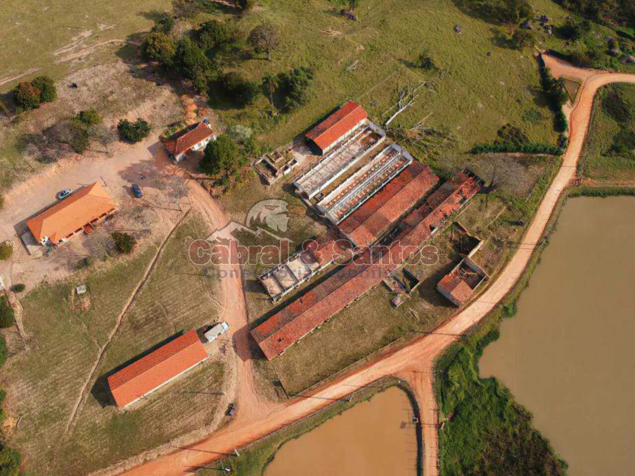 Sítio à venda no Pedregulho: Foto 05