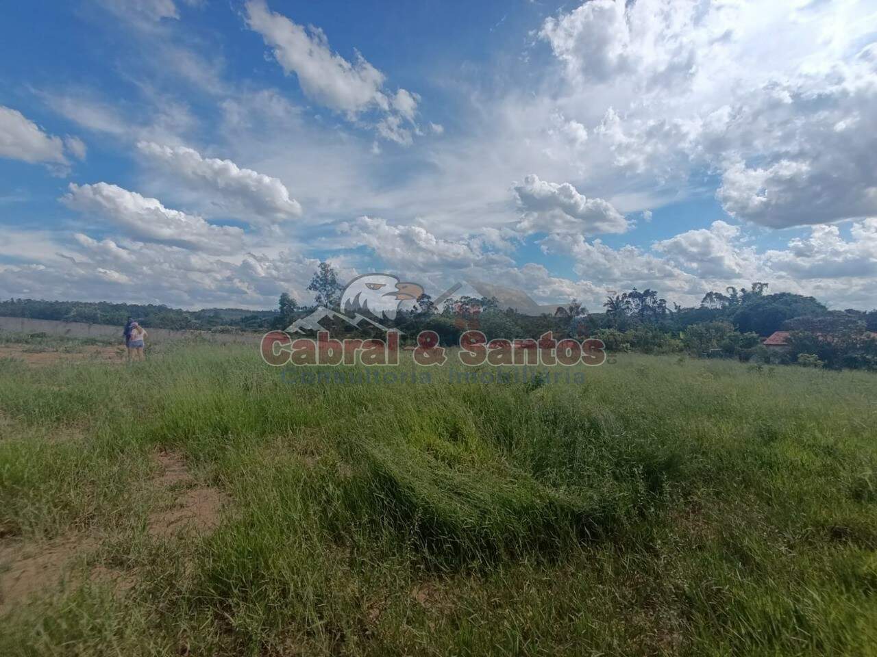 TERRENO à venda no Chácara Monte Verde: Foto 02