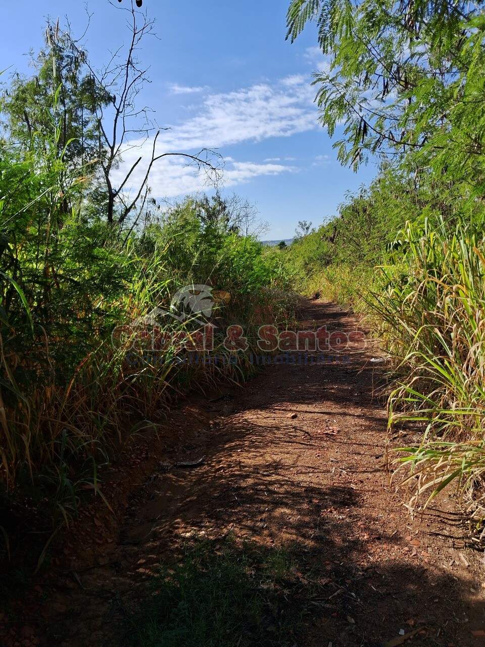 AREA à venda no CANJICA: Foto 04