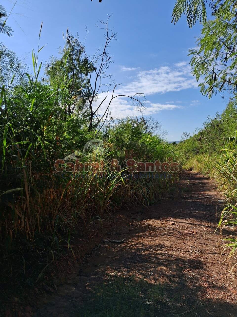 AREA à venda no CANJICA: Foto 03