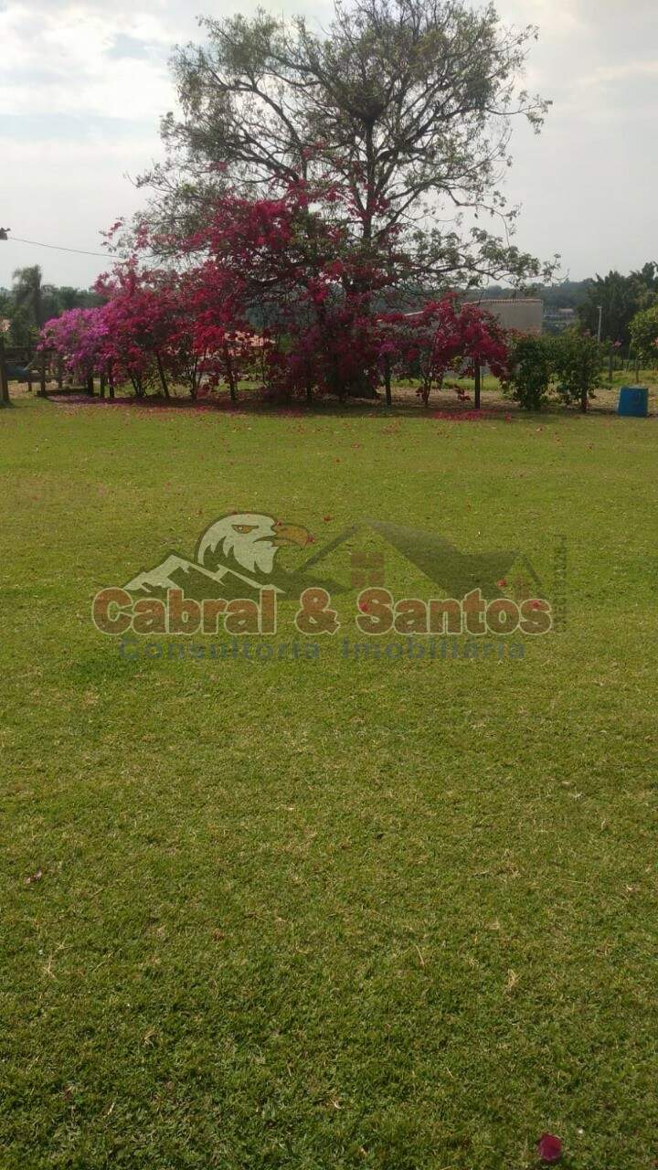 Sítio à venda no TRÊS VENDAS: Foto 17