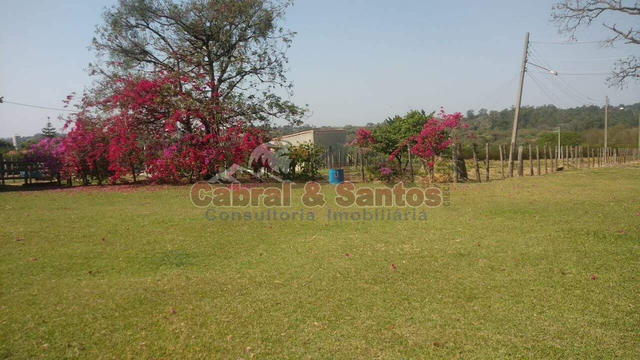 Sítio à venda no TRÊS VENDAS: Foto 19