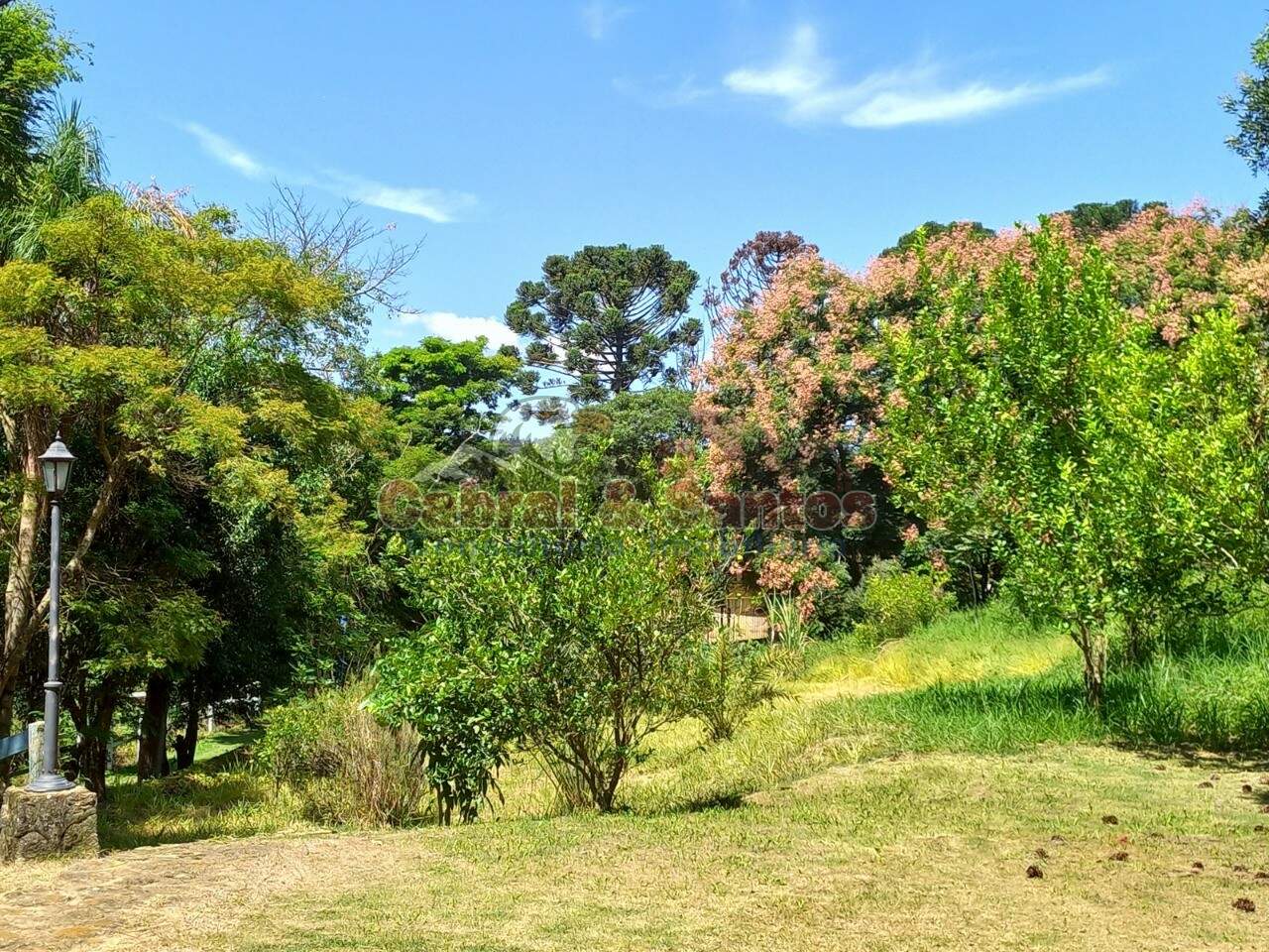 Sítio à venda no FAZENDINHA: Foto 08