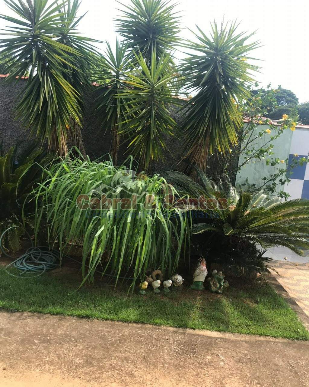 Chácara à venda no CONDOMINIO SANTA INÊS: Foto 06
