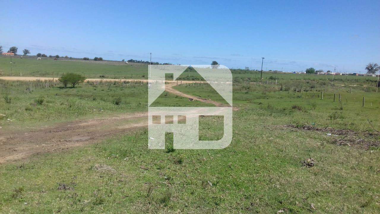Terreno à venda no Prado Velho: